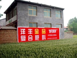 宝丰如何让墙体广告展现最大化效果