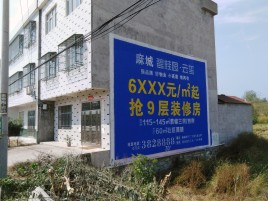 宝丰墙体广告质量分析
