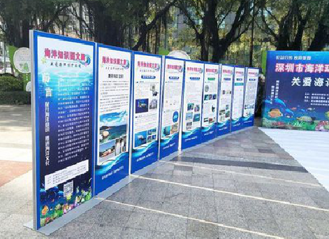 宝丰KT板的种类和知识。